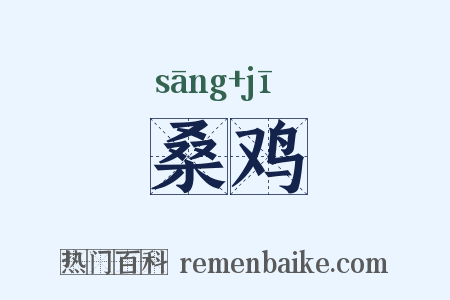 桑鸡是什么意思的图片